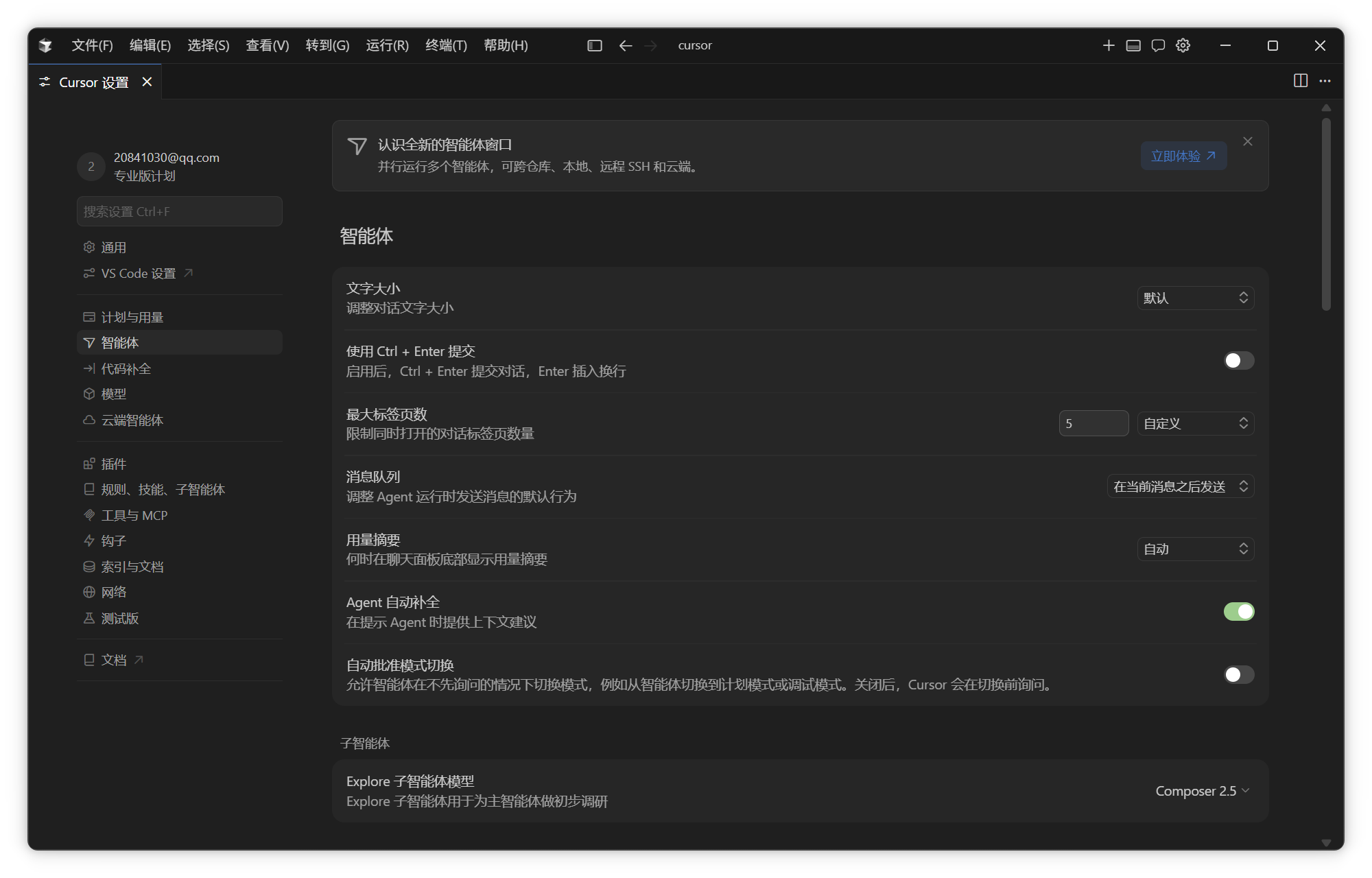 Cursor 汉化后设置页预览