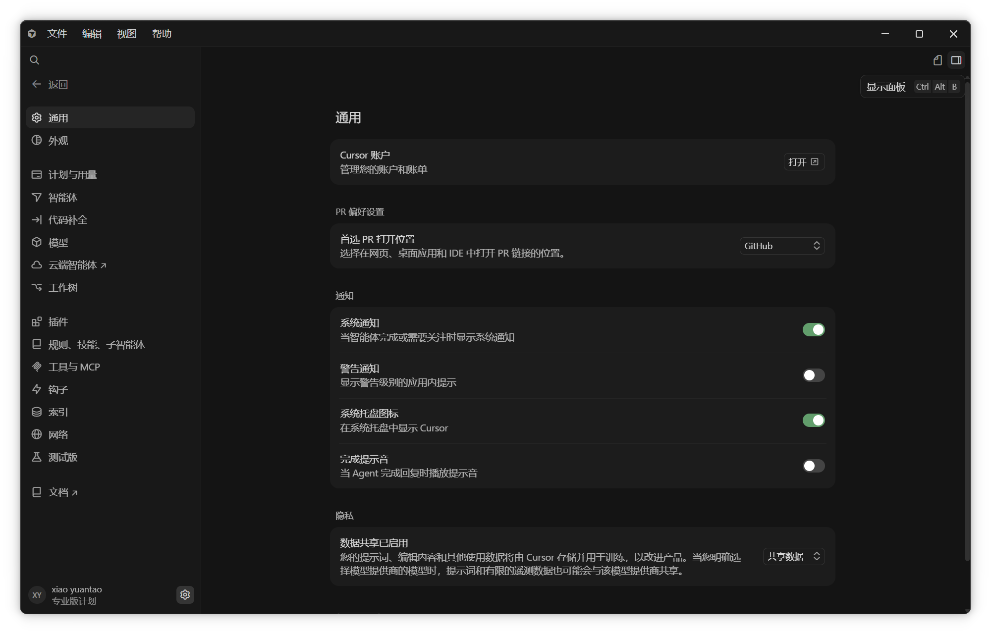 Cursor 汉化后模型设置预览